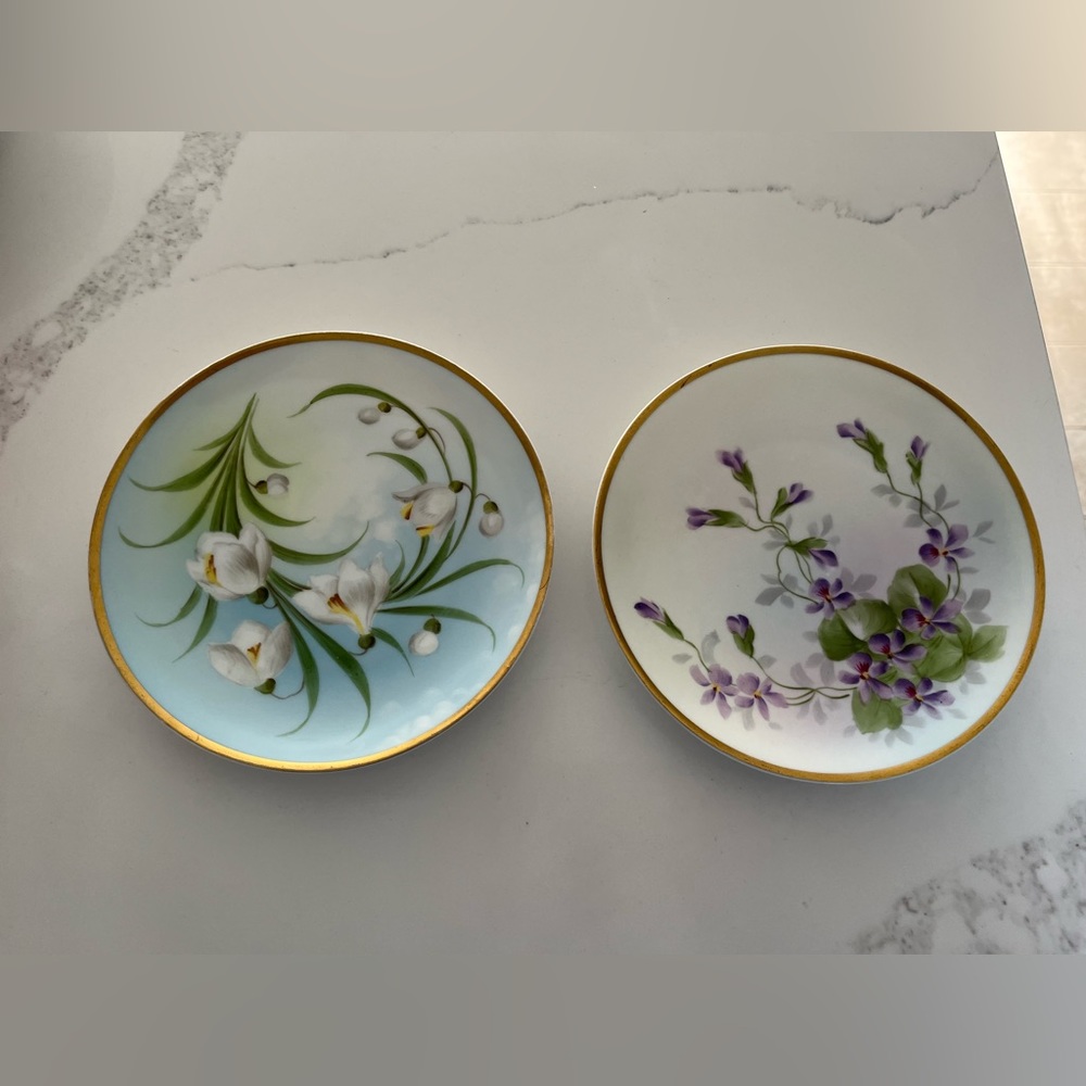 Two vintage h&co bavaria hand painted 7” plates.